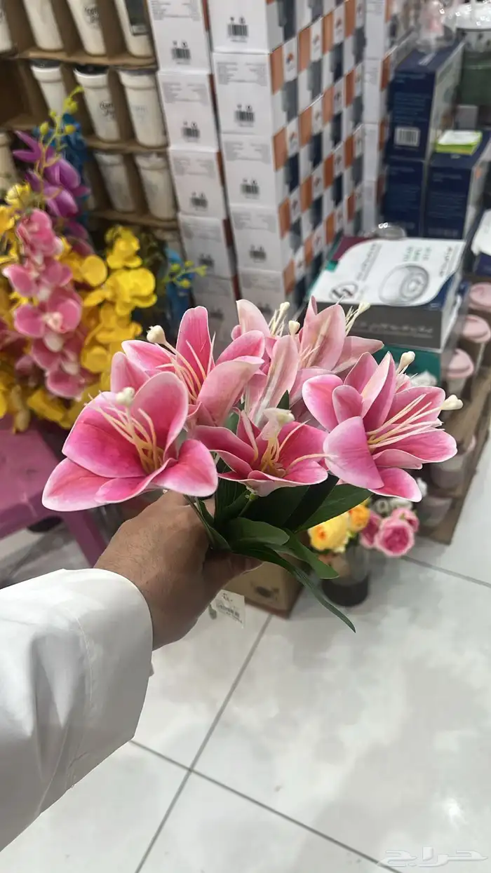 بظاعه محل هديا للبيع محل كامل 1 ثلاجه عربيات ملكه عطورات 0