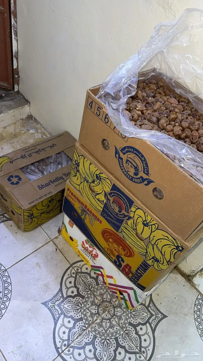 خلاص الحساء ( وادي الدواسر ) 1