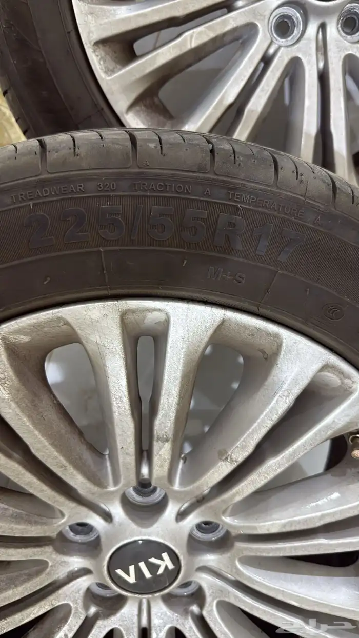 جنوط كادينزا 2016 2