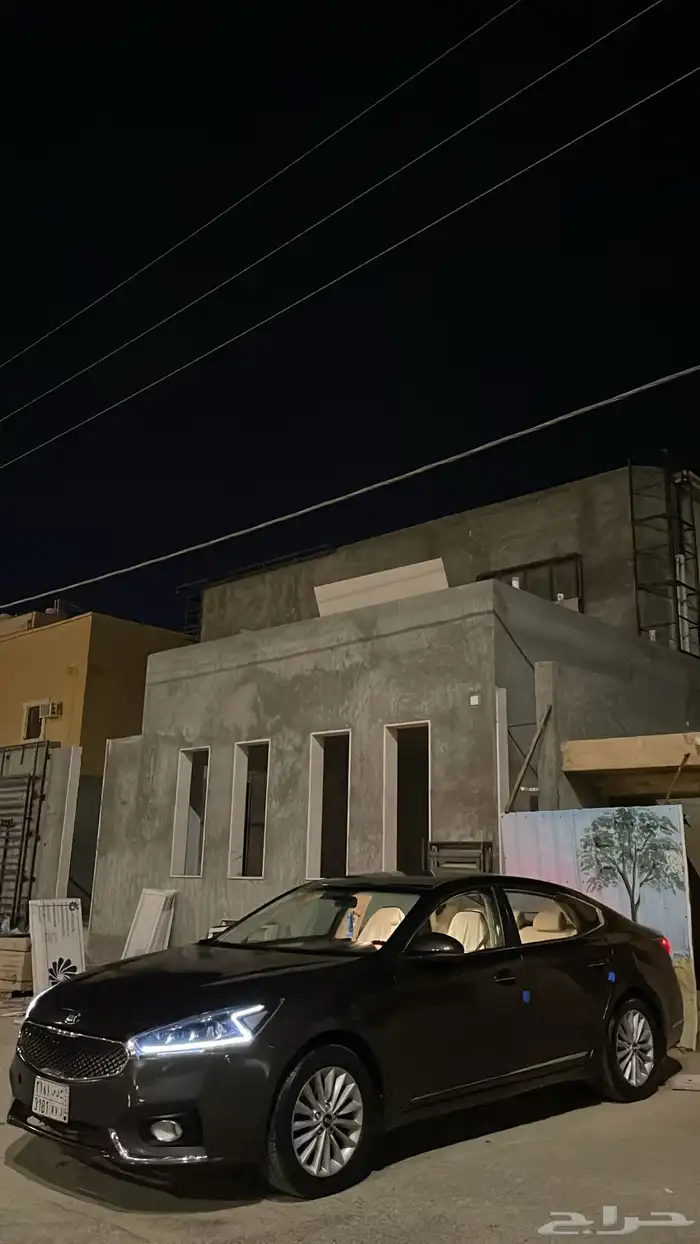 كدنزا 2017 7