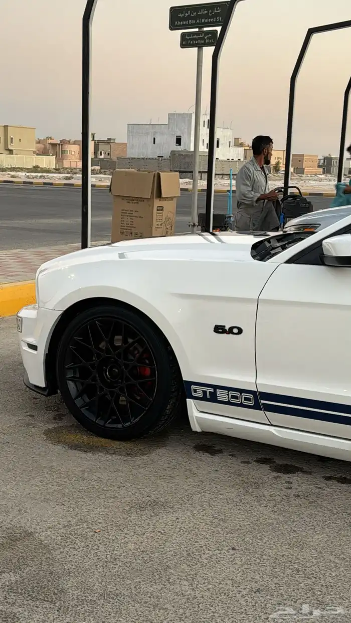 للبيع جنوط موستنق شلبي 1