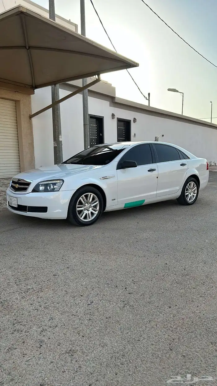 كابرس 2013 1
