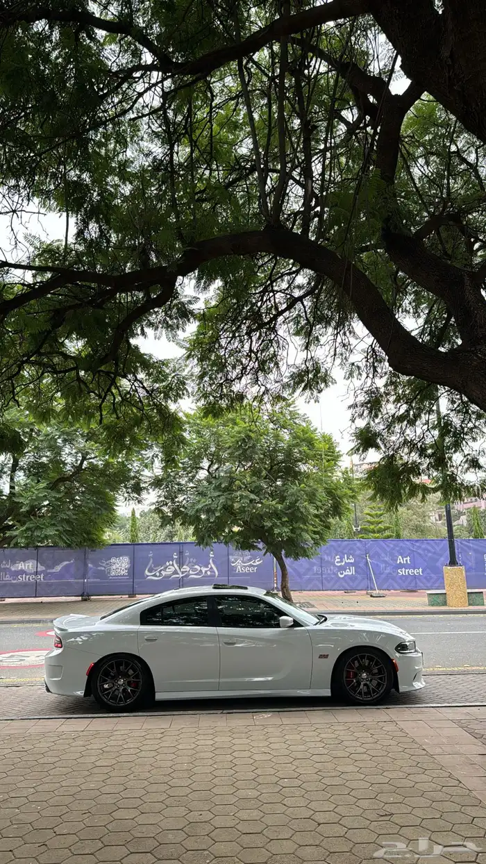 SRT _ srt 2015 1