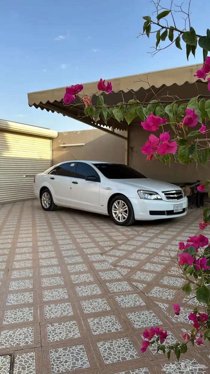 كابرس 2013 0