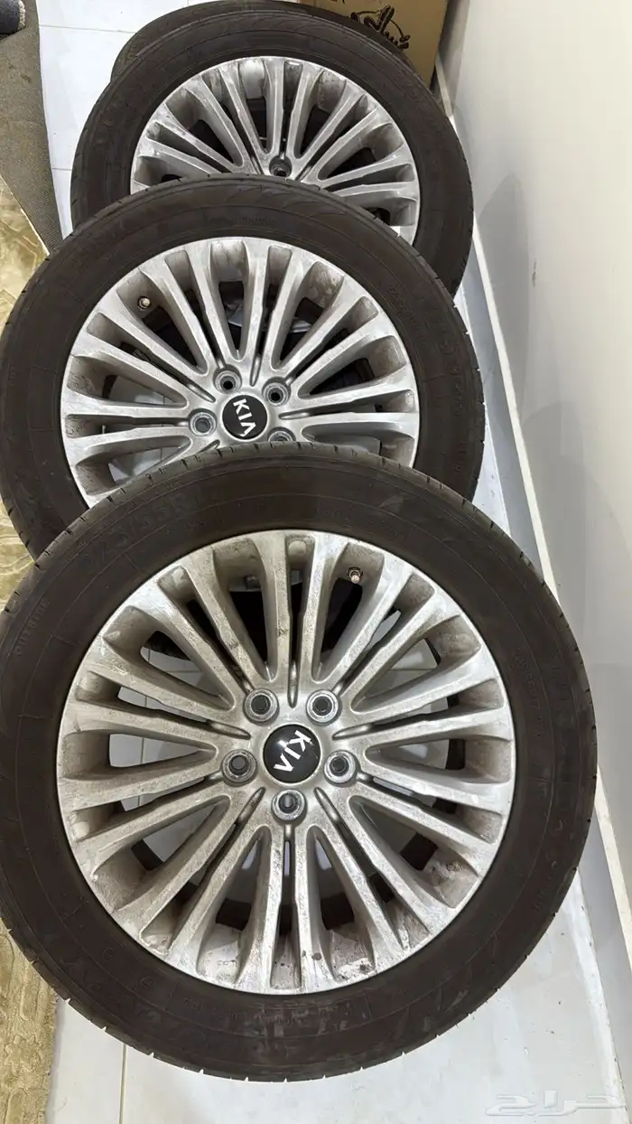 جنوط كادينزا 2016 0