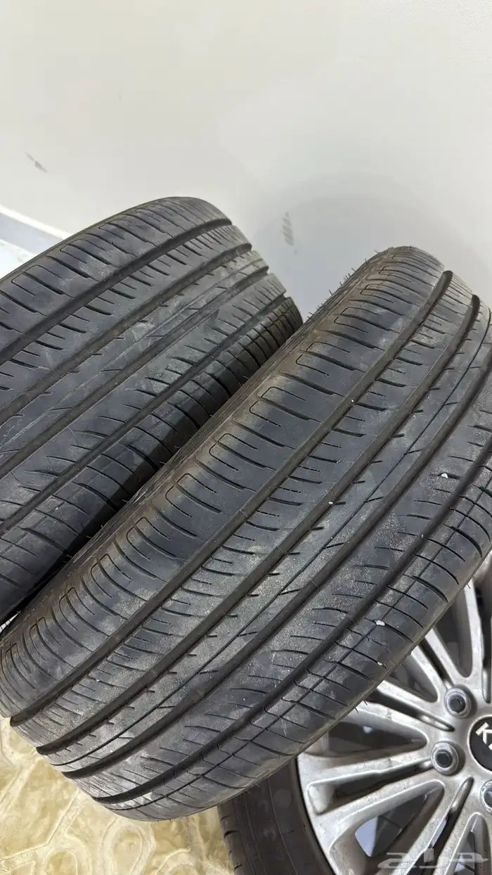 جنوط كادينزا 2016 3