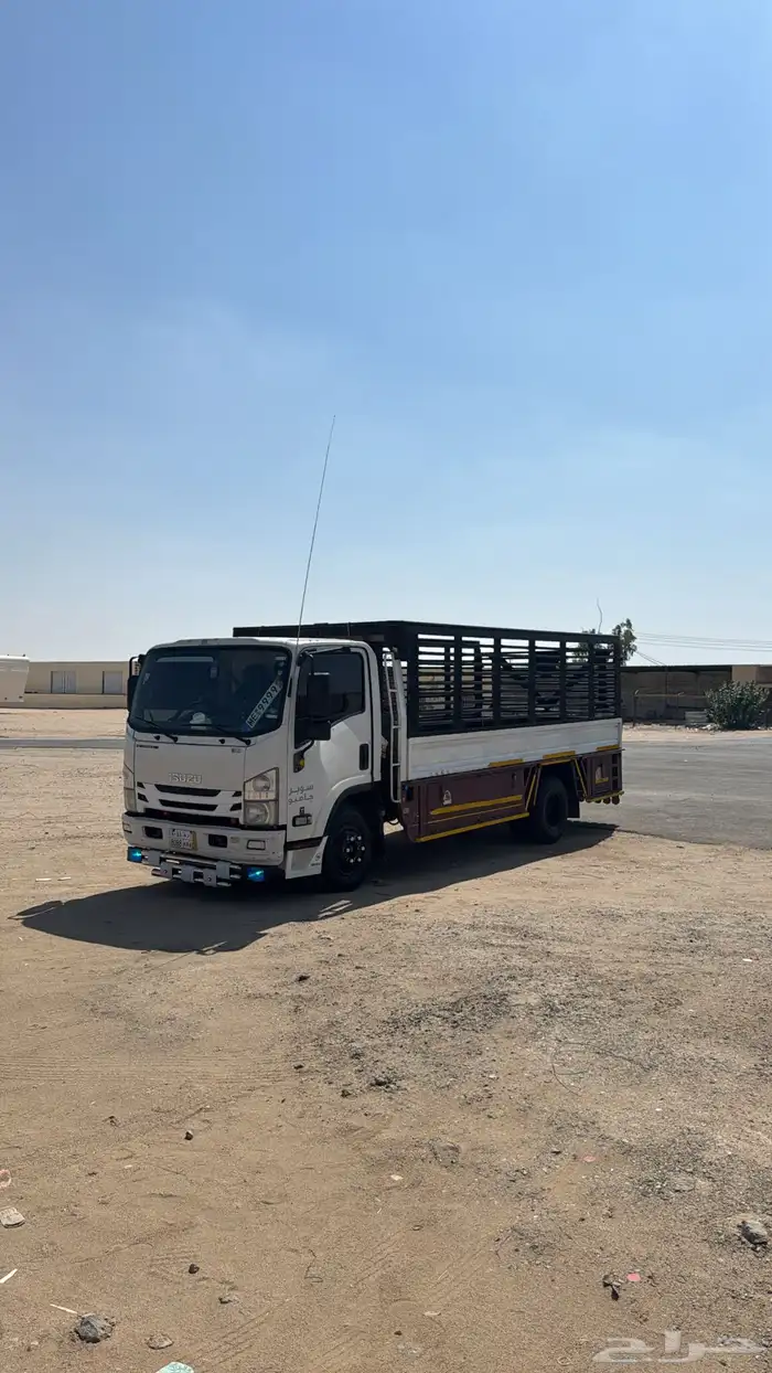 دينة تثليث وجميع مناطق المملكه 0