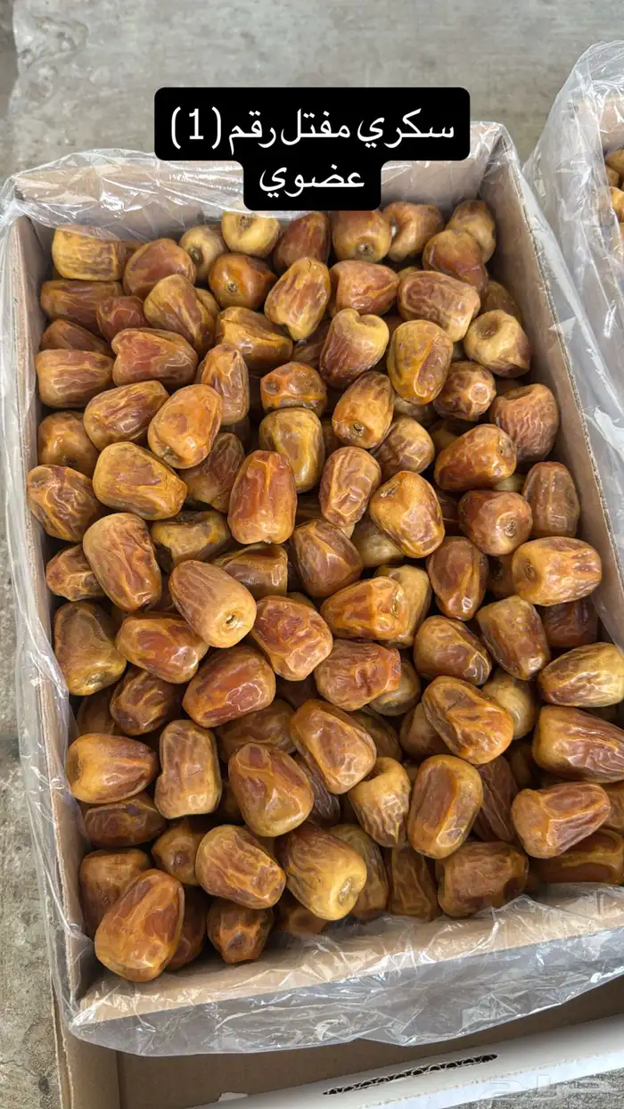تمر سكري رطب ومفتل عضوي 1