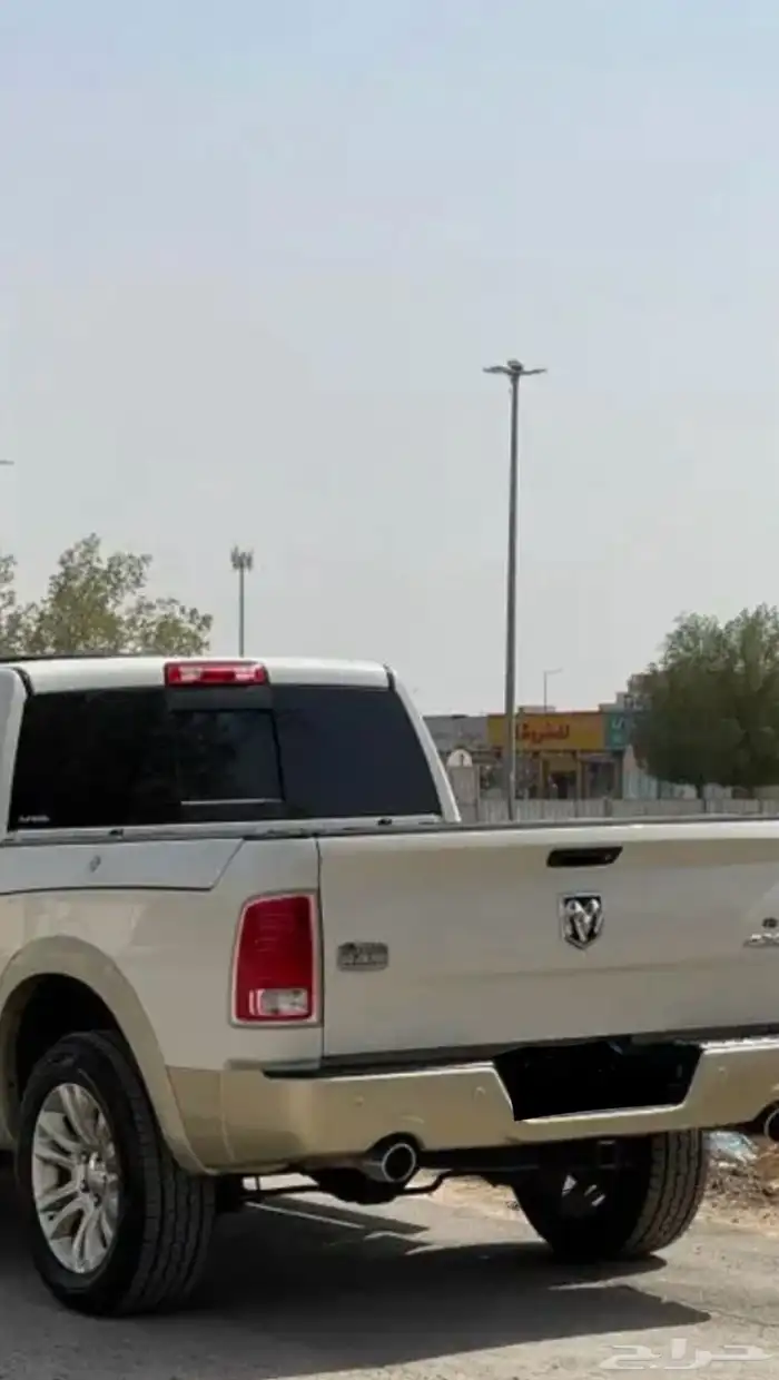 رام لوينيق هورن 2017 للبيع 2