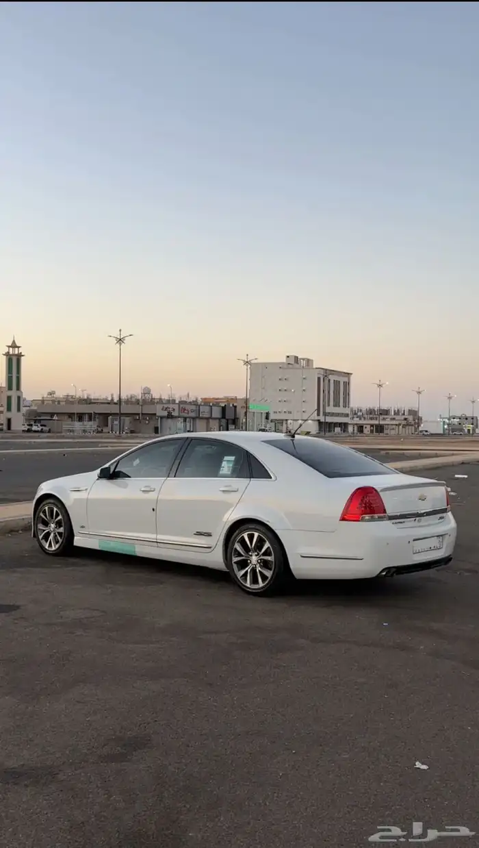 كابرس 2015 14