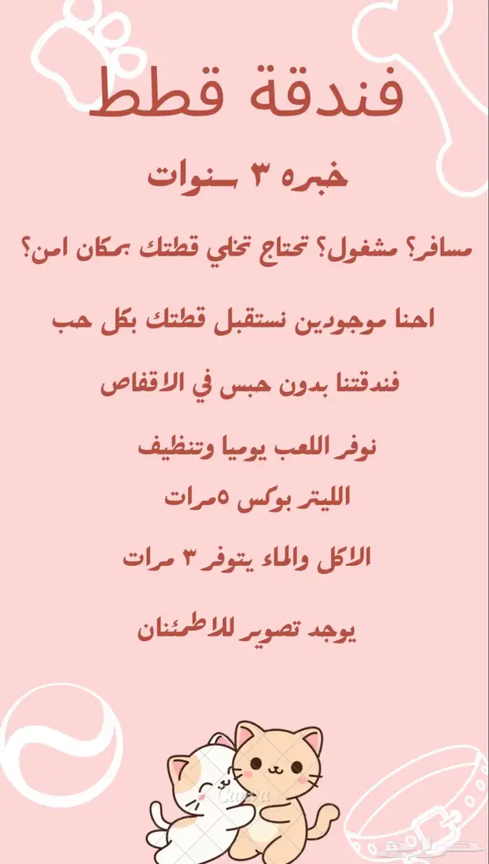 فندقه قطط 0