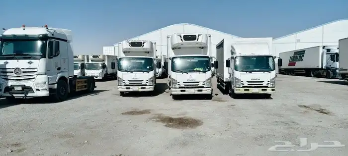 تأجير دينات ايسوزو وشتحنات 0