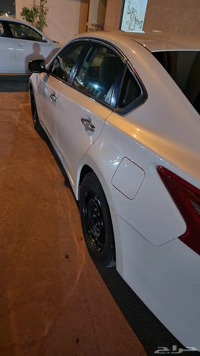 التيما 2018 نص فل 2