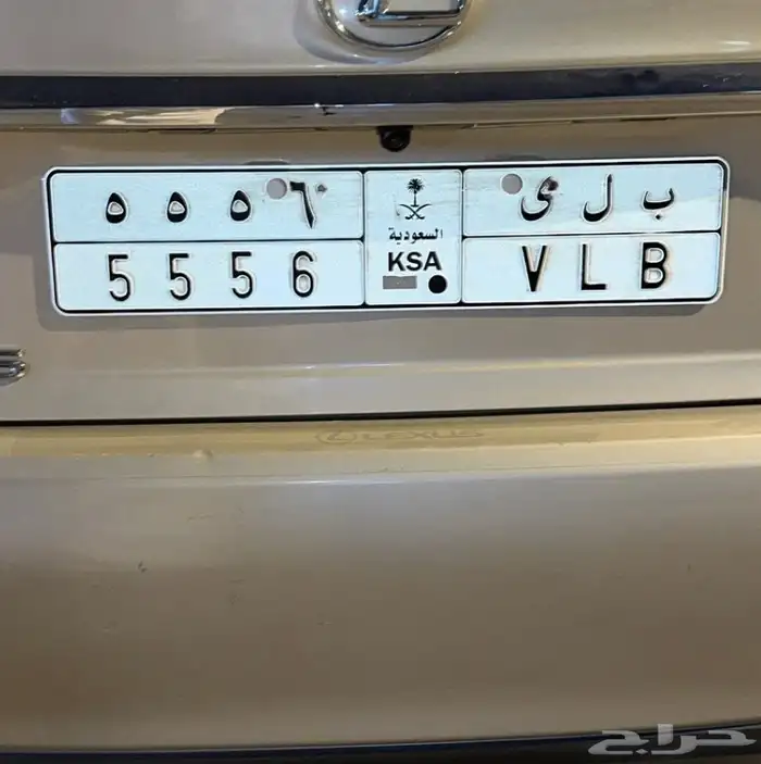 لوحة للبيع ب ل ي 1