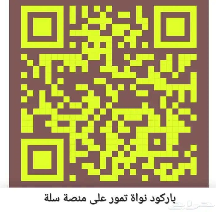 بذور و نواة الفواكة و الخضار 2