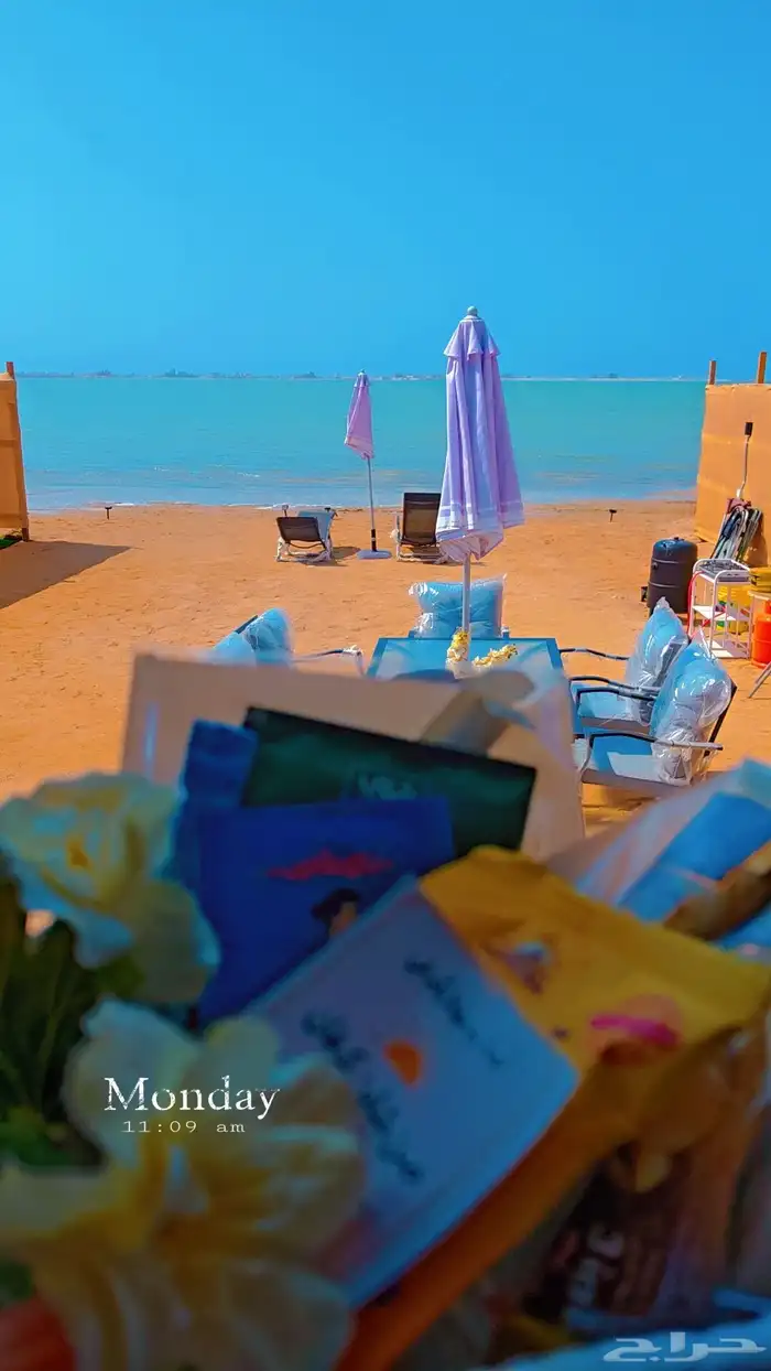 كرفان مخيم فاخر جدا على البحر للايجار اليومي 1