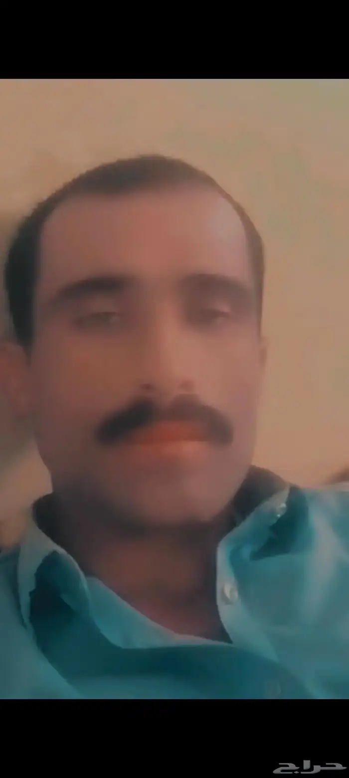 آنا ابغا شغل اشترا حارس مزر  غنم 0