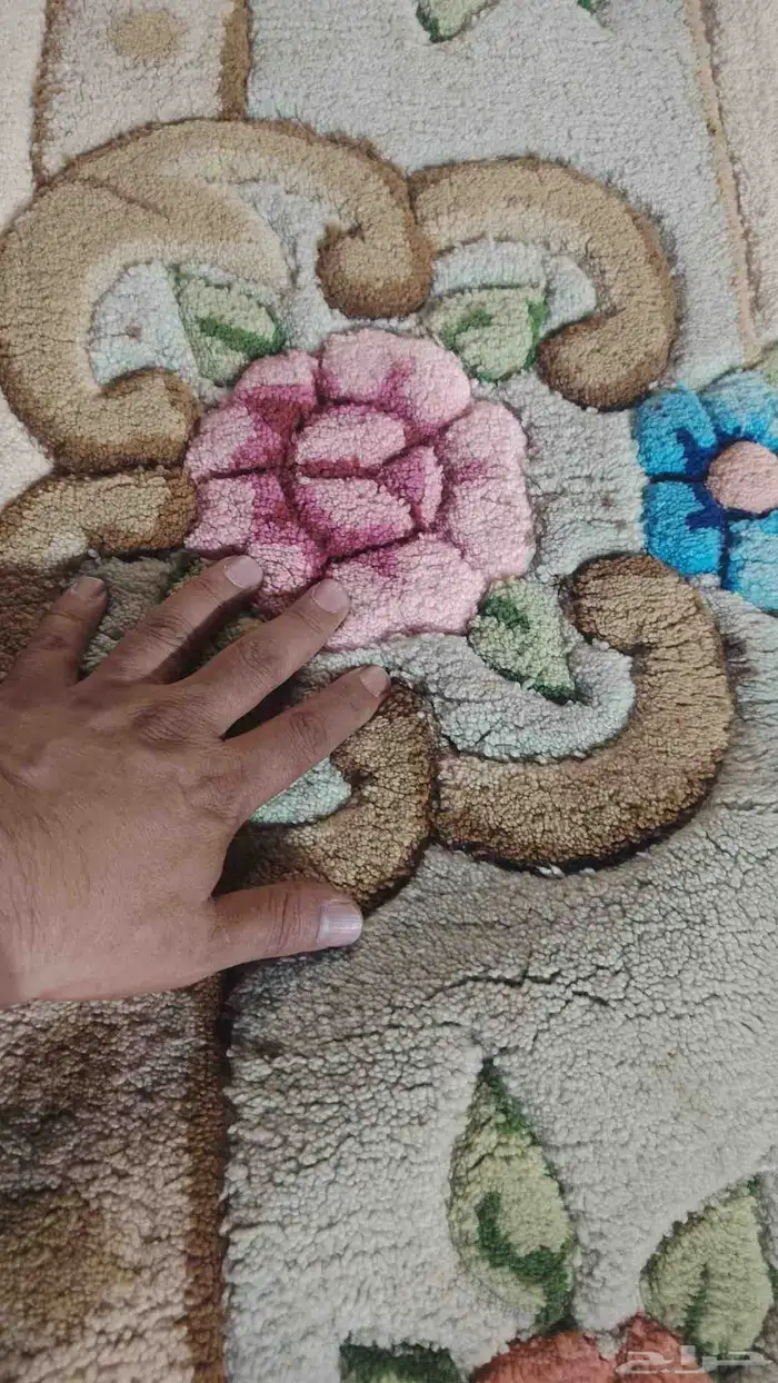 سجاد صيني وفرن 0