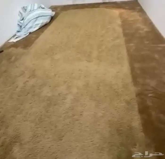 موكيت بيت كامل نضيف جدا فرش 0