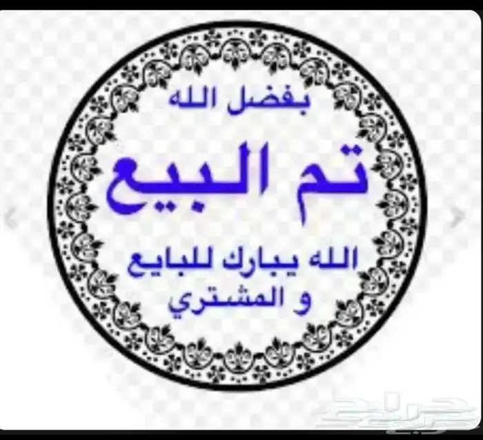صوص صيصان دجاج فيومي مشكل 0