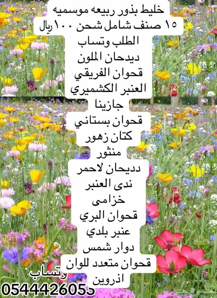 خليط بذور ربيعه موسميه عرض بكج مشكل 0