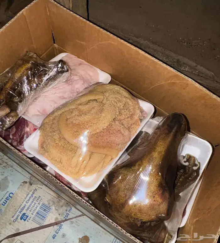 سواكن مرابي علف نظيف ولحم 2