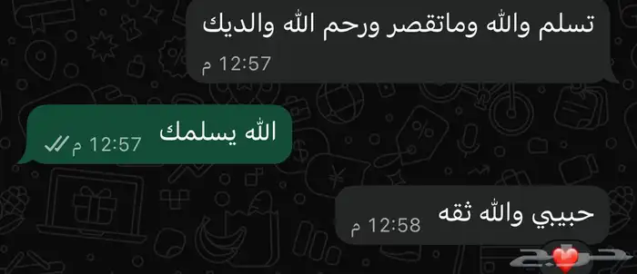 اشتراك سناب بلس الرسمي 5