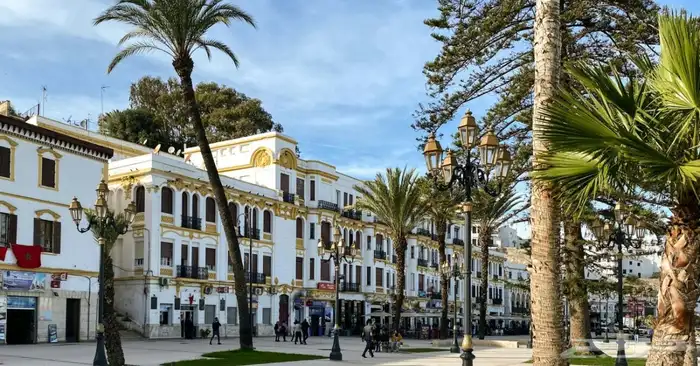 احتاج مستثمر لمشروع ربحي 0