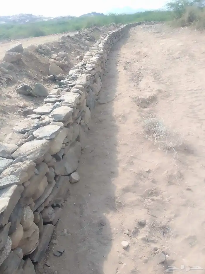 ابو صالح بناء حجر تلبيس 1