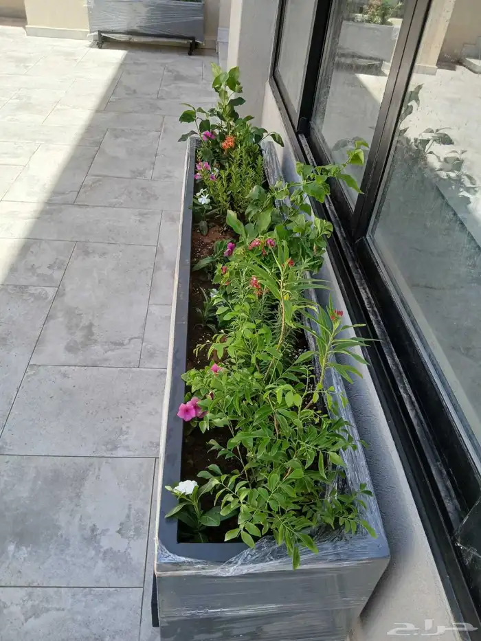 تنسيق حدائق القصيم ثيل طبيعي وصناعي 3