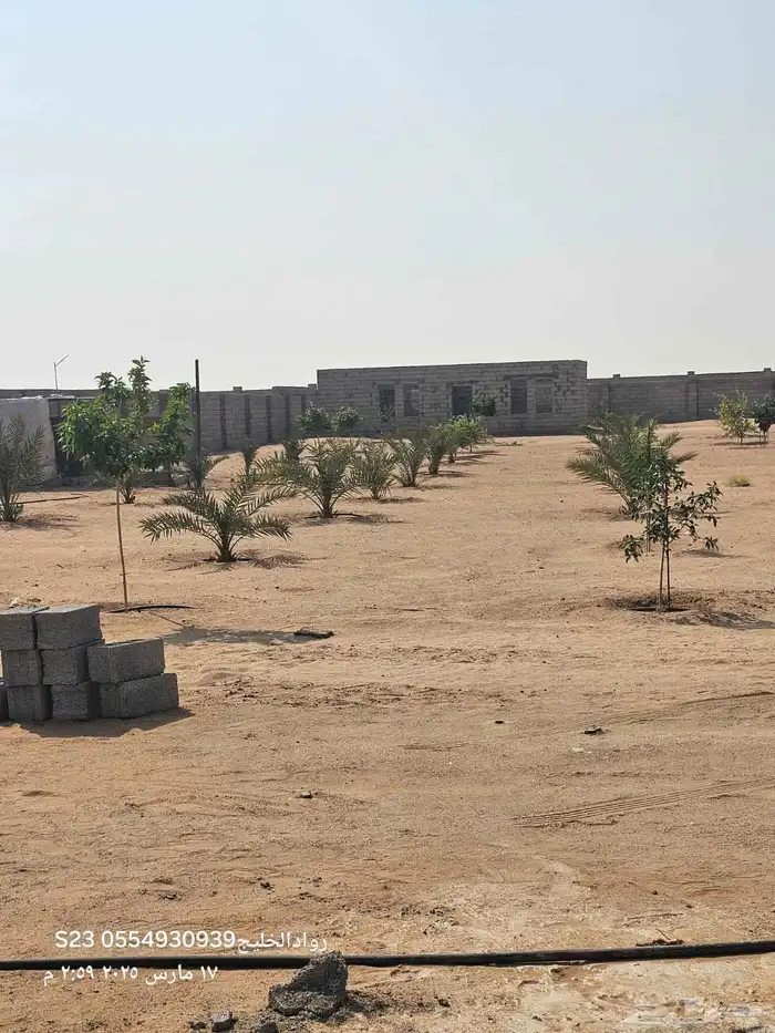 للبيع مزرعة في الغولاء بالقرب من جامعة جدة مساحه10الالف 4