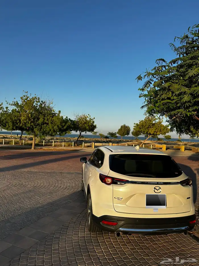 مازدا cx-9 بدي وكالة لوحة مميزة 2