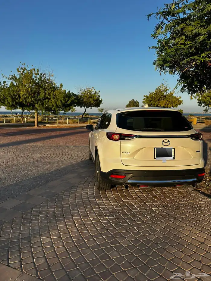 مازدا cx-9 بدي وكالة لوحة مميزة 3