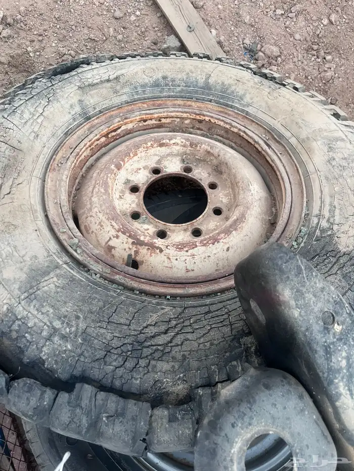 جنوط شنبر 16 3