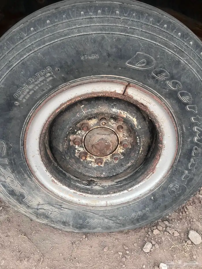 جنوط شنبر 16 0