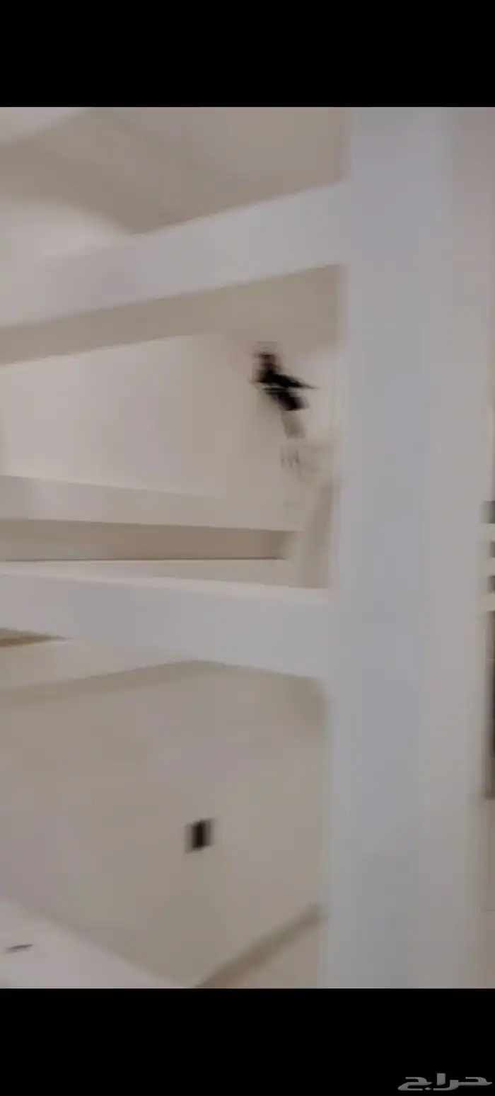 شقة للإيجار 3