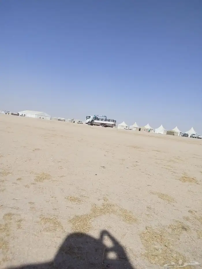 دينا ونش هيدروليك لنقل الإبل مزاد السعيره الوجهه للقصيم 0