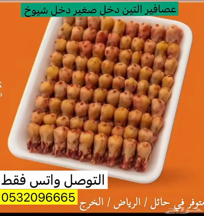 بقلاوة الموسم 0