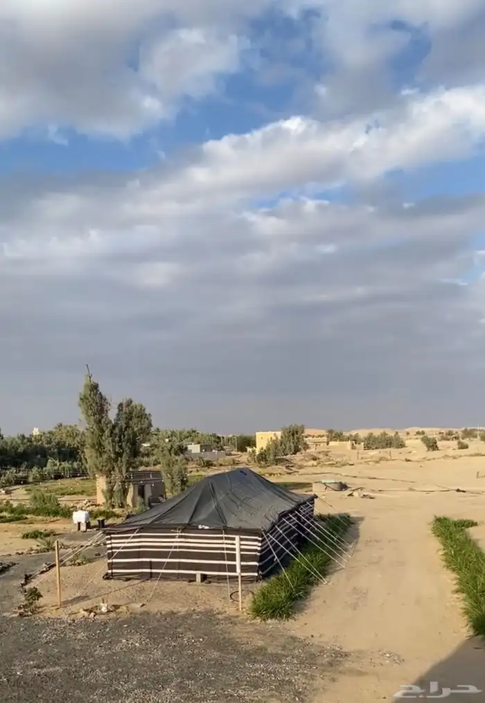 بيت شعر 16 في 8 0