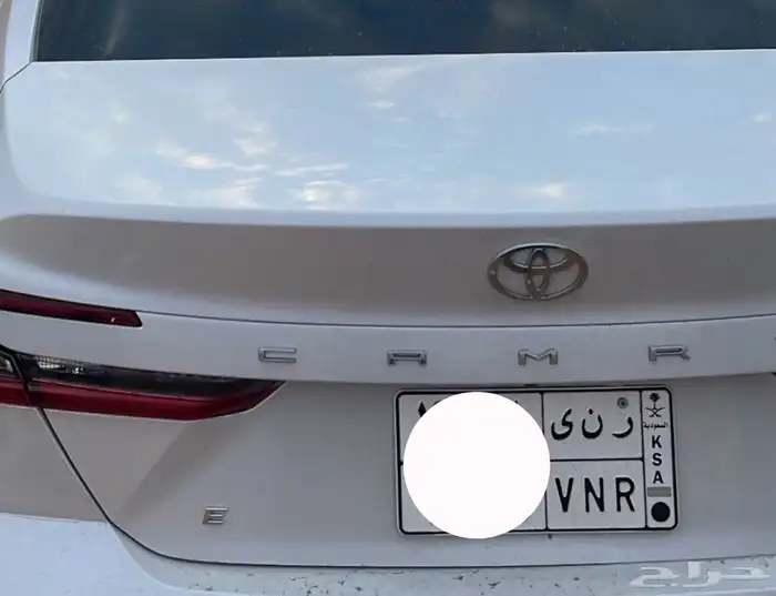 لوحة رنى او رنا 0