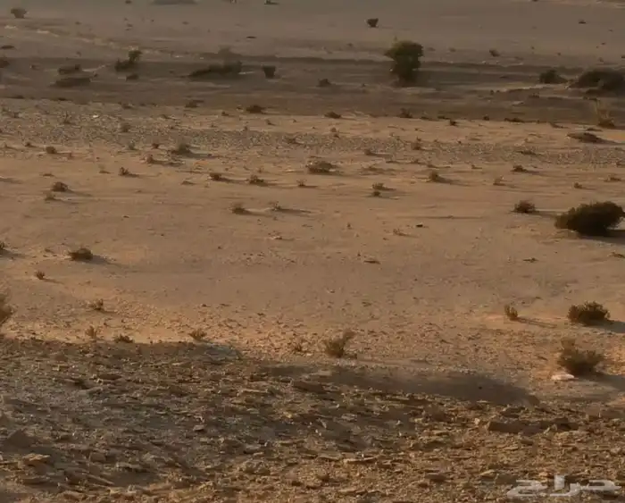 ا ست راحه الهجره 0