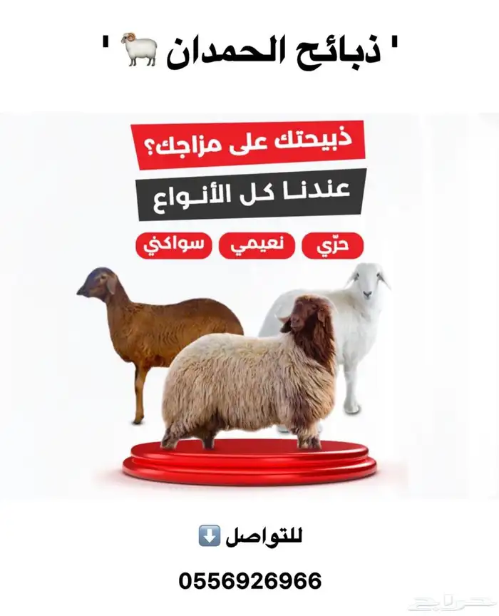 نعيمي وحري طازج وبلدي 7