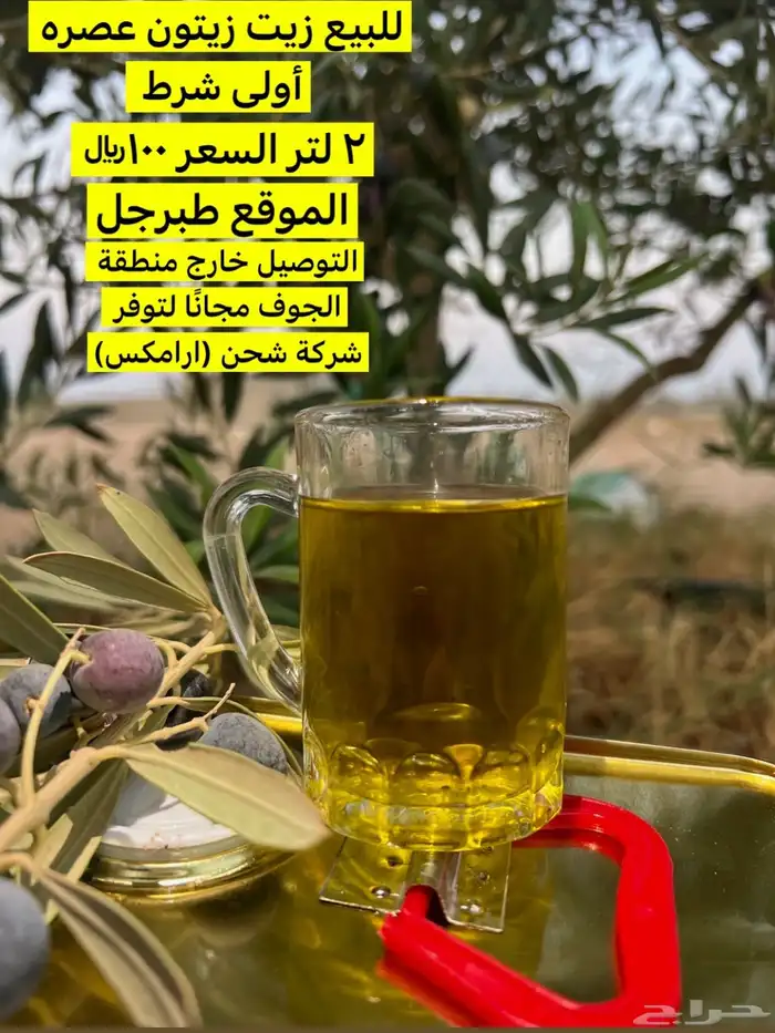 زيت زيتون عصرة اولى شرط 0