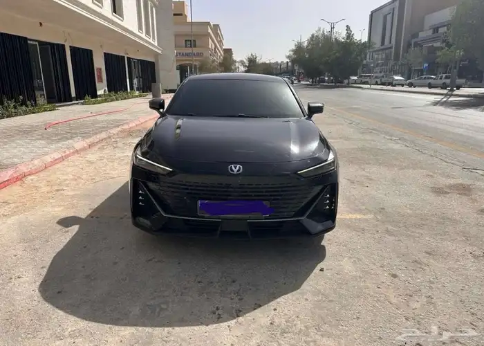 شانجان 3