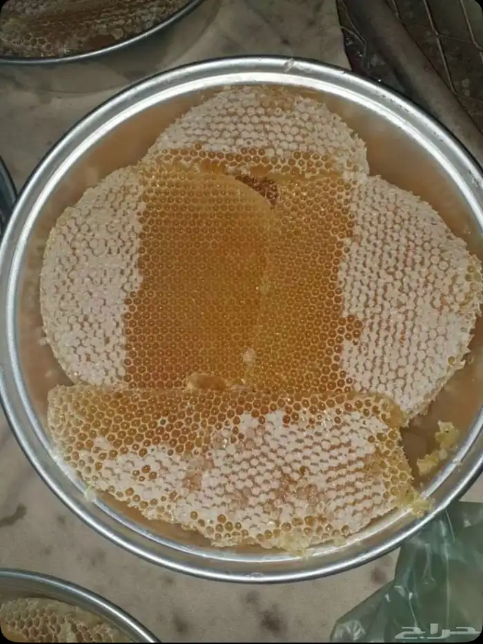 عسل سدر الباحه انتاج جديد 4