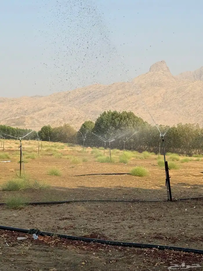 أدوات الزراعه 100 رشاش ودينمو 10 حصان وسلك 10 مليي نحاس 1