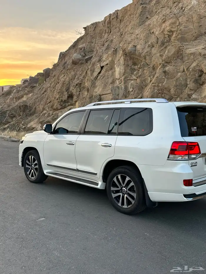 للبيع تورنق 2019 6