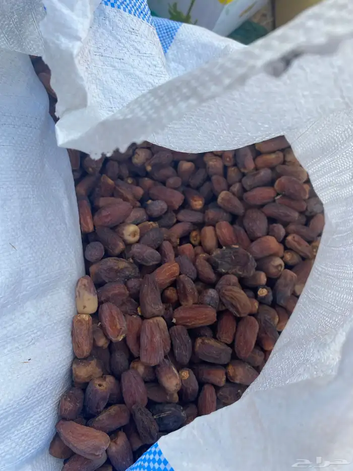 تمر حق حلال نظيف 4