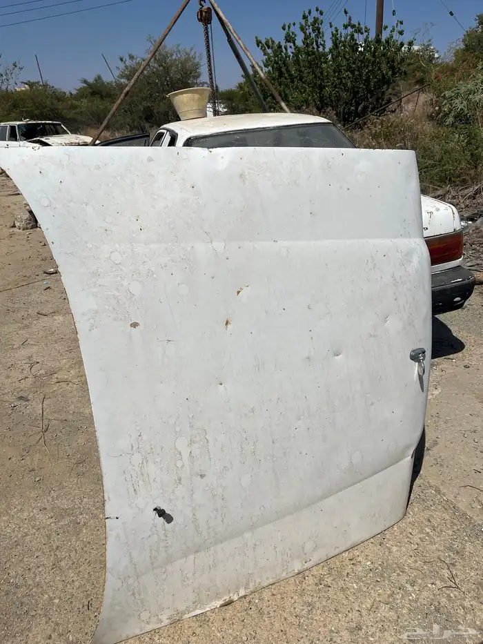 كبوت ورفارف كرسيدا 91 9