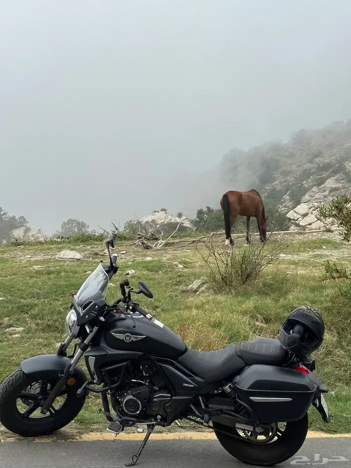 دباب هاوجو tr 300 1